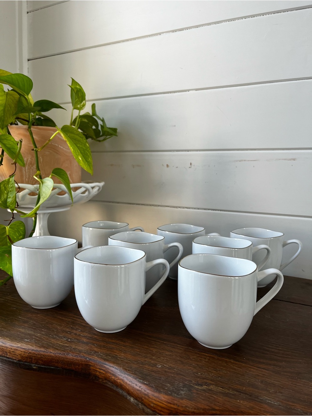 West Elm Organic white Porcelain Gold-Rimmed Mugs set of 8